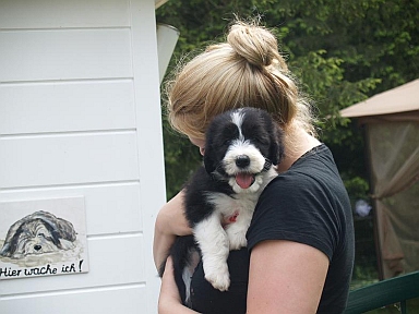 Lilli 7 Dienstag 107.jpg